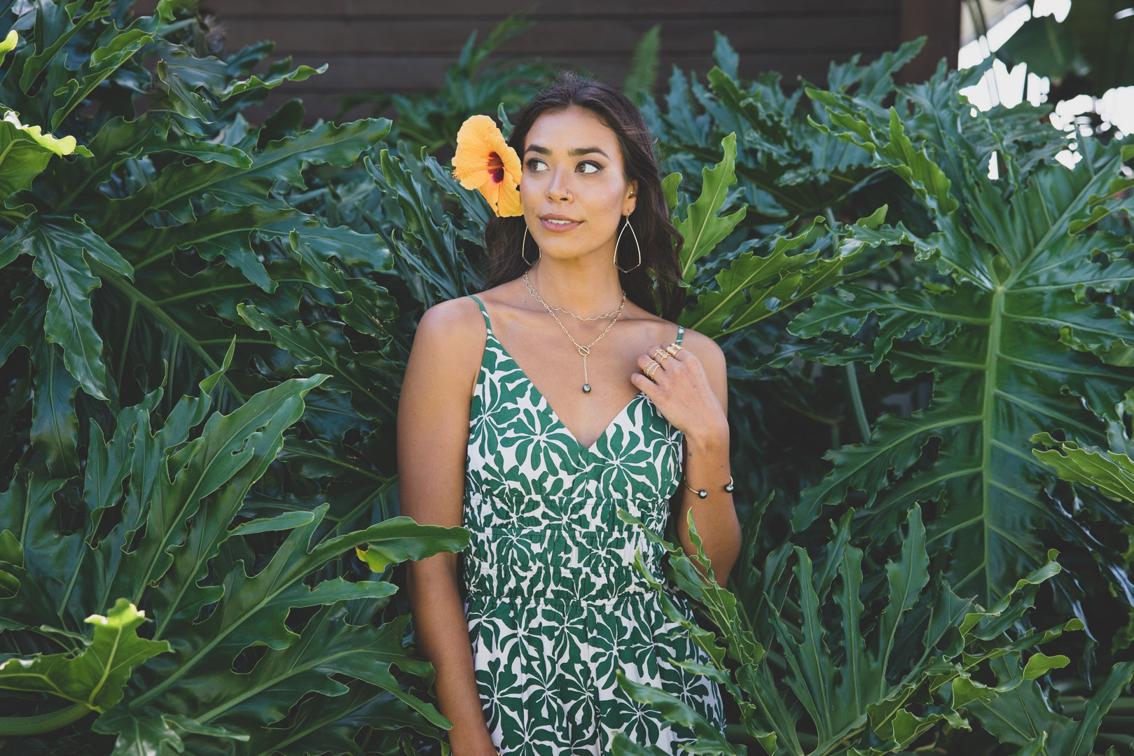 ALOHA-FOREST KEANI HAWAI`I