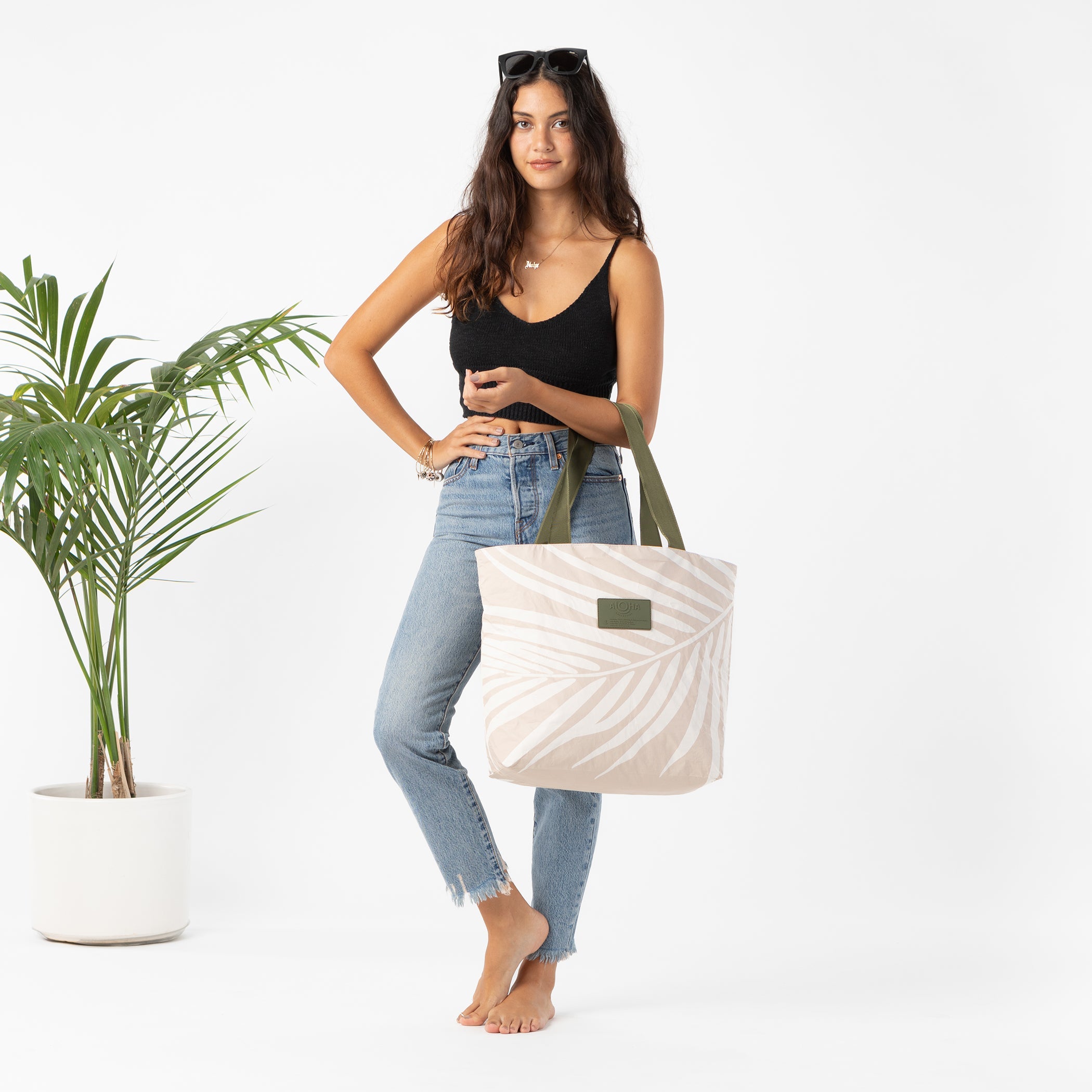 Shade Day Tripper / Seawall Aloha Collection