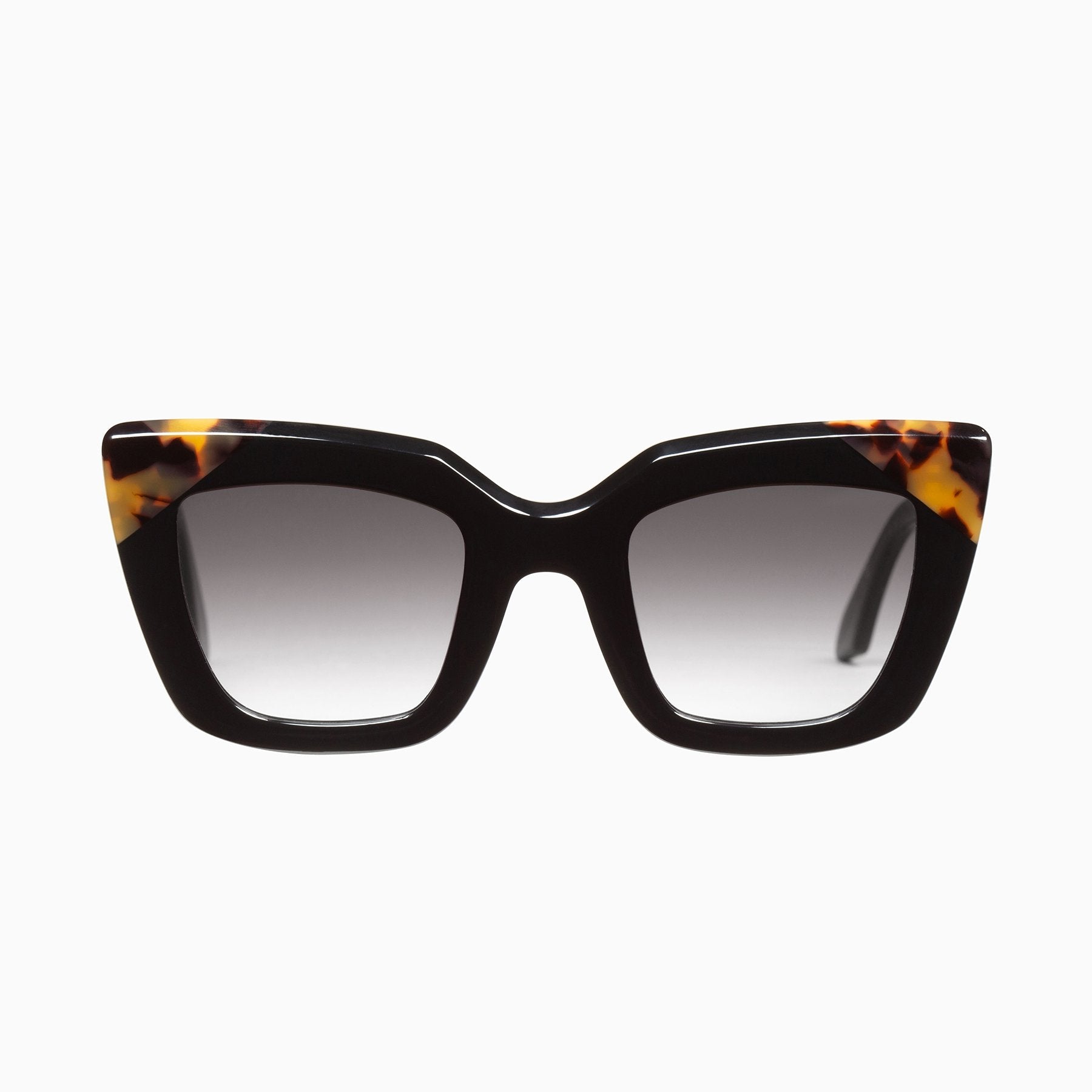 Polarized Brigada / Gloss Black w. Tort Brow Corners / Black Gradient Lens Valley Eyewear