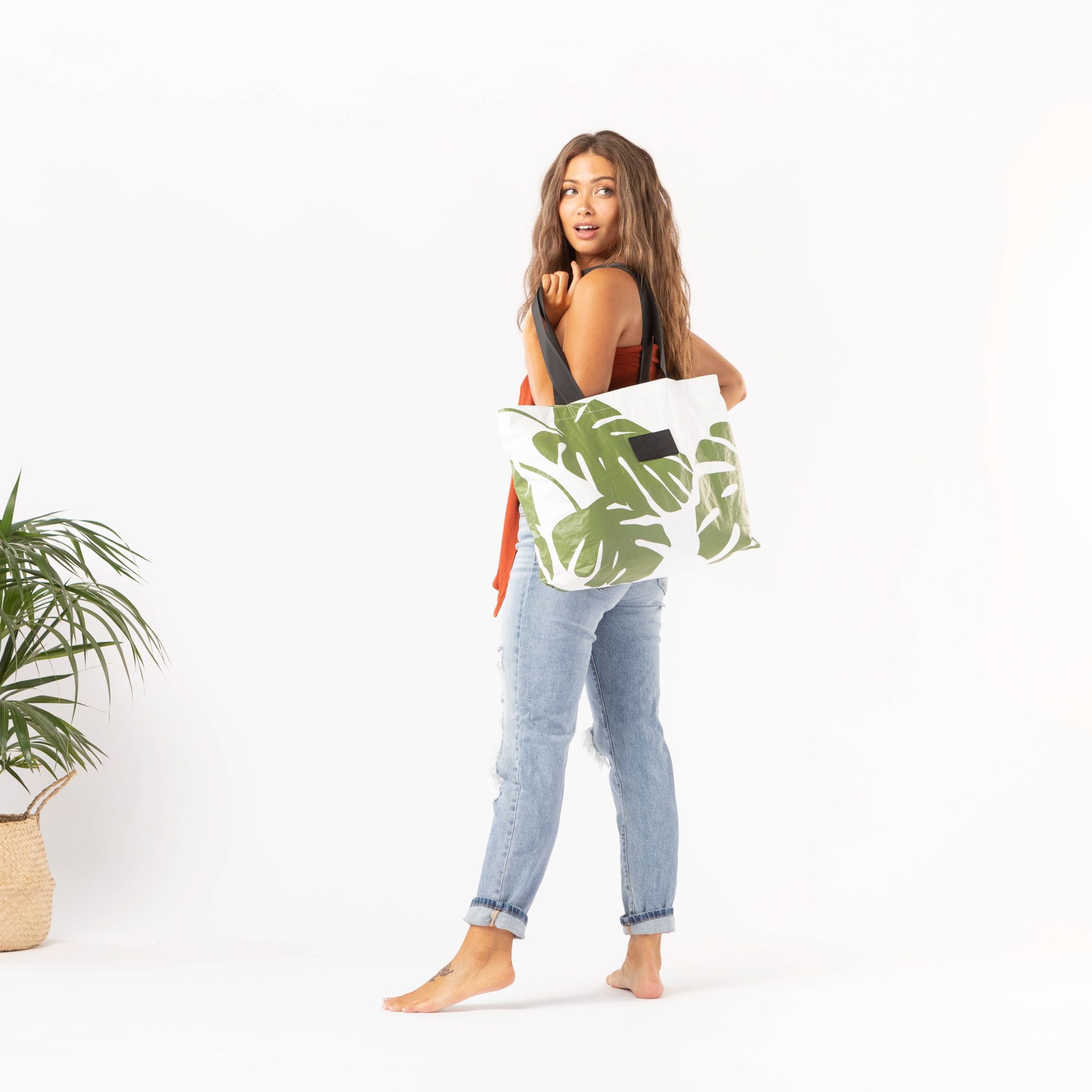 Monstera Day Tripper / Seaweed Aloha Collection