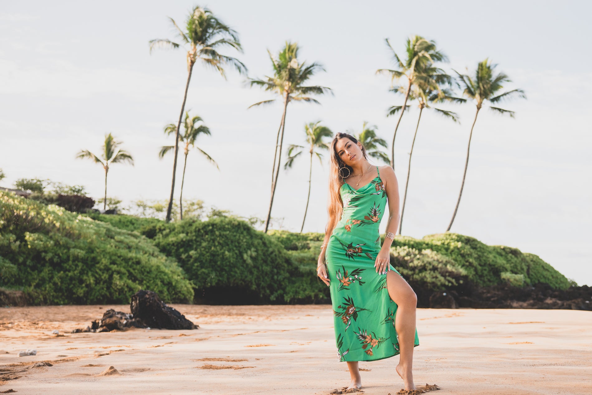 XIX-Palms-Sale KEANI HAWAI`I