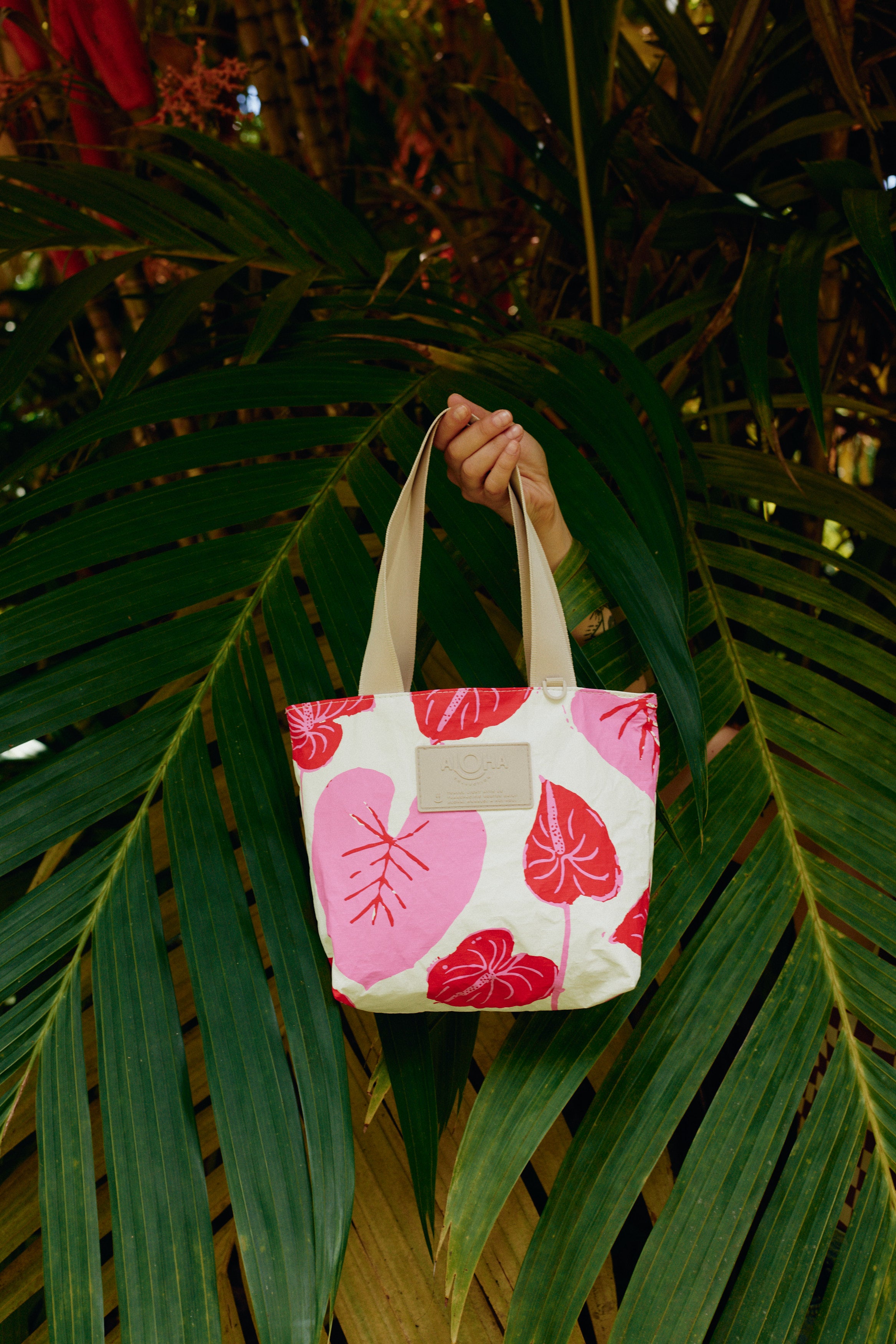 Anthurium Mini Tripper / Sweetheart KEANI HAWAI`I