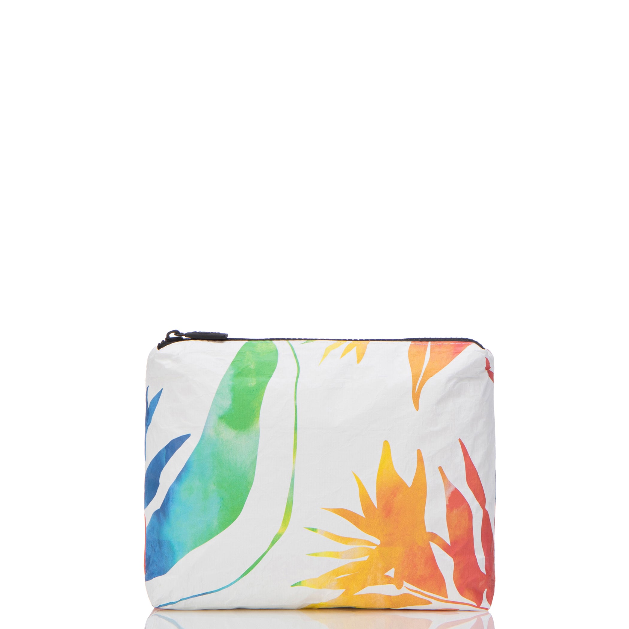 Painted Birds Small Pouch / Rainbow
