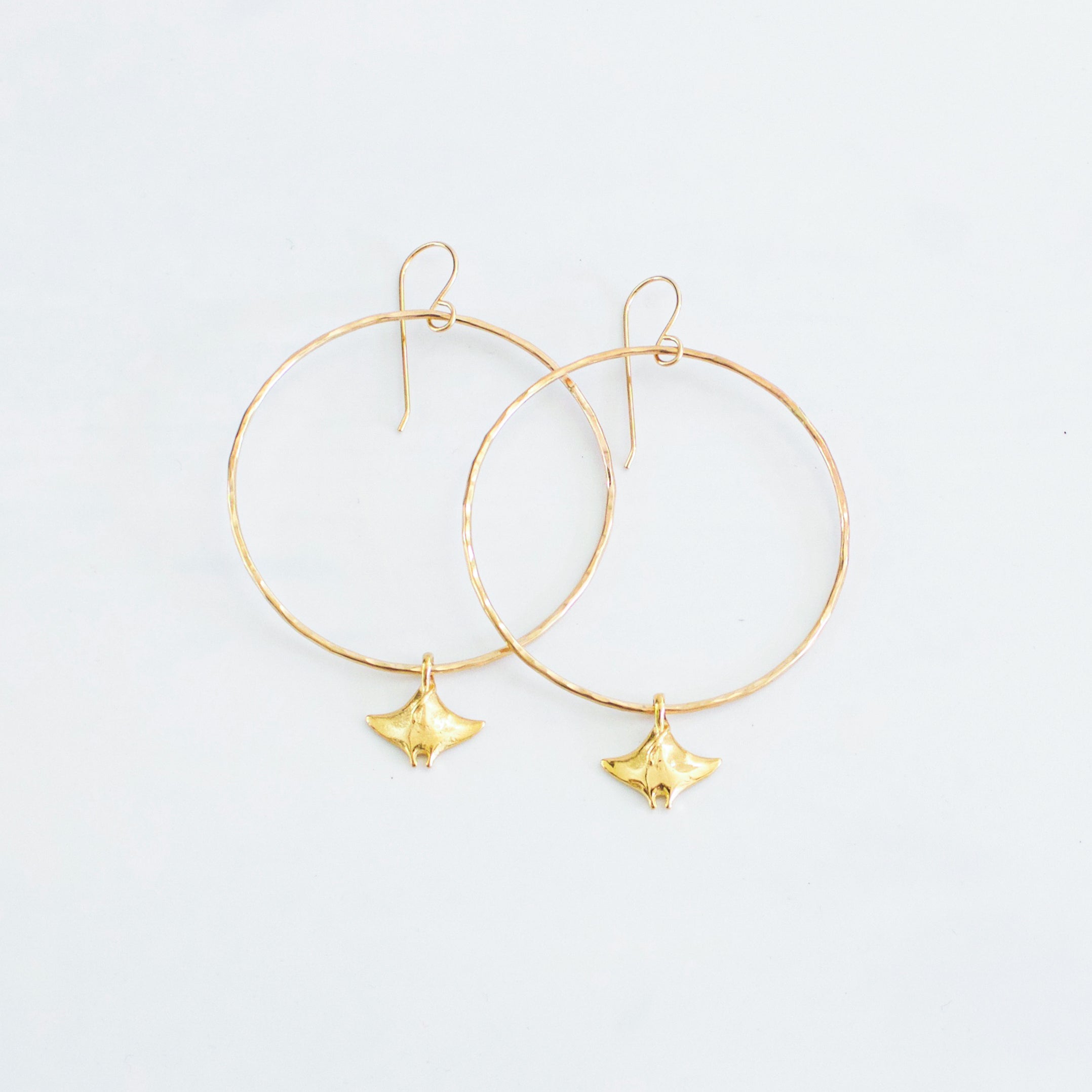 Large Raydiance Hoops